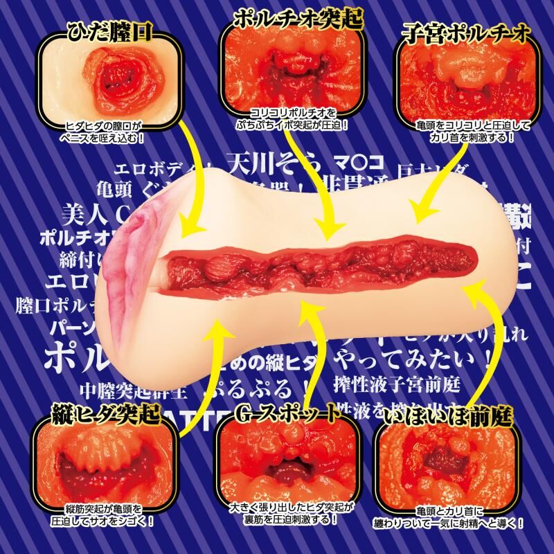 45621601392055