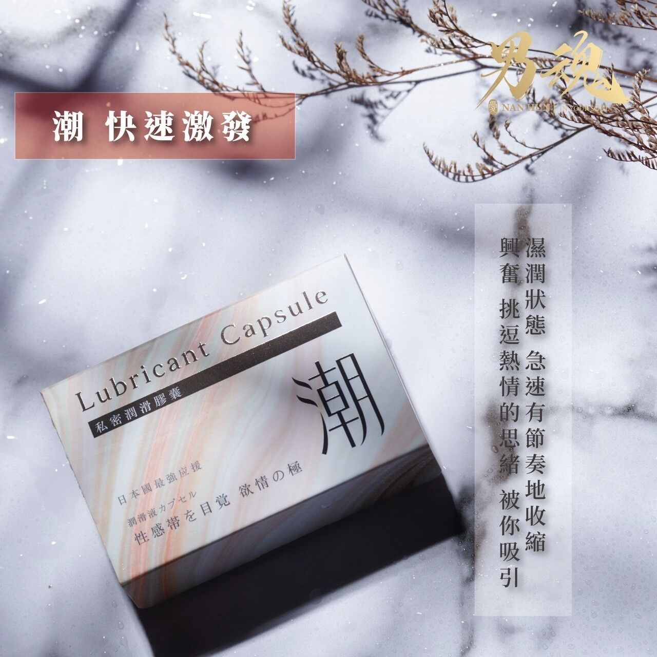 主3