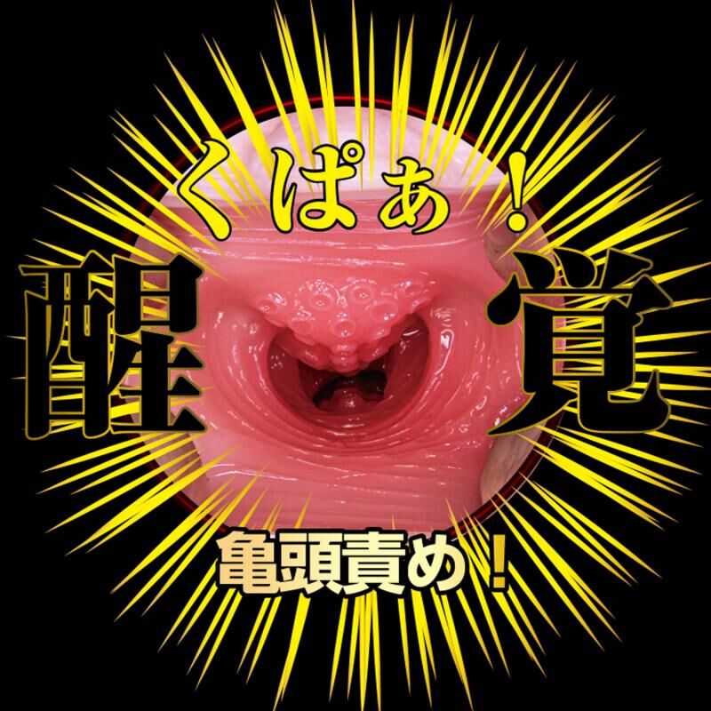 H24376