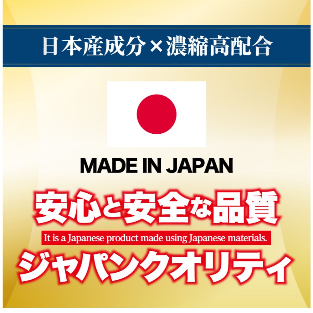 45826888635503 - 複製
